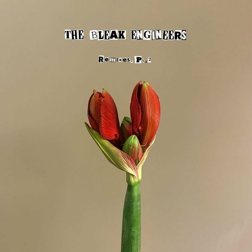 The Bleak Engineers - A Message Remixes, Pt. 2 [UFOCR001]